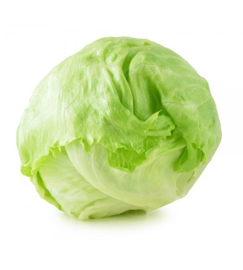 ICEBERG BOX 